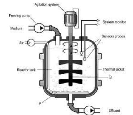 CBSE Class 12 Biology Additional Practice Question Paper 2023-24_4.1