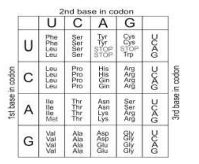 CBSE Class 12 Biology Additional Practice Question Paper 2023-24_10.1
