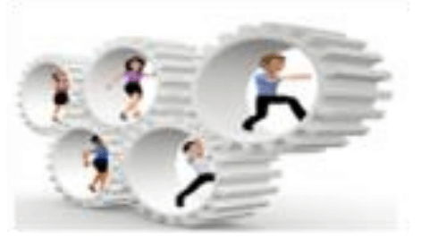 CBSE Class 12 Business Studies Sample Question Paper 2024-25; Download Free PDF Here_3.1