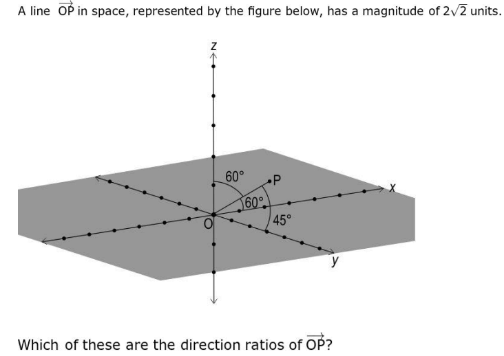 CBSE Class 12 Maths Additional Practice Question Paper 2024-25_13.1