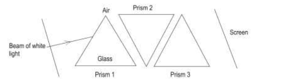 CBSE Class 10 Science Additional Practice Questions Paper 2023-24_17.1