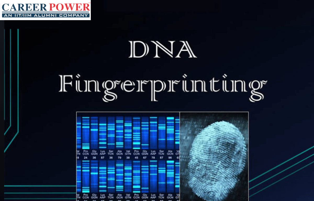 DNA Fingerprinting