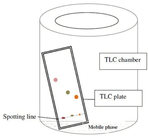 Thin Layer Chromatography_4.1