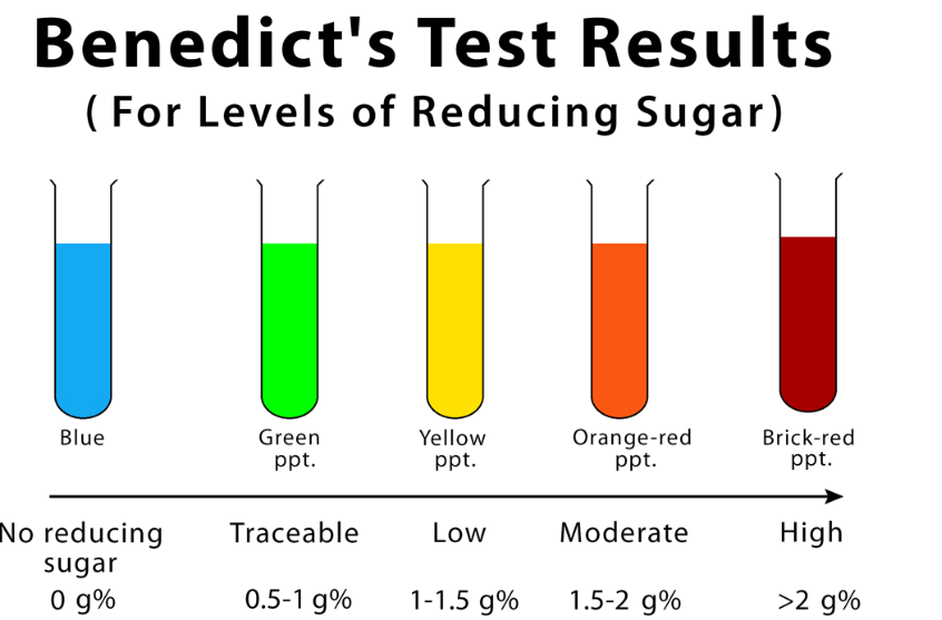 Benedict's Test