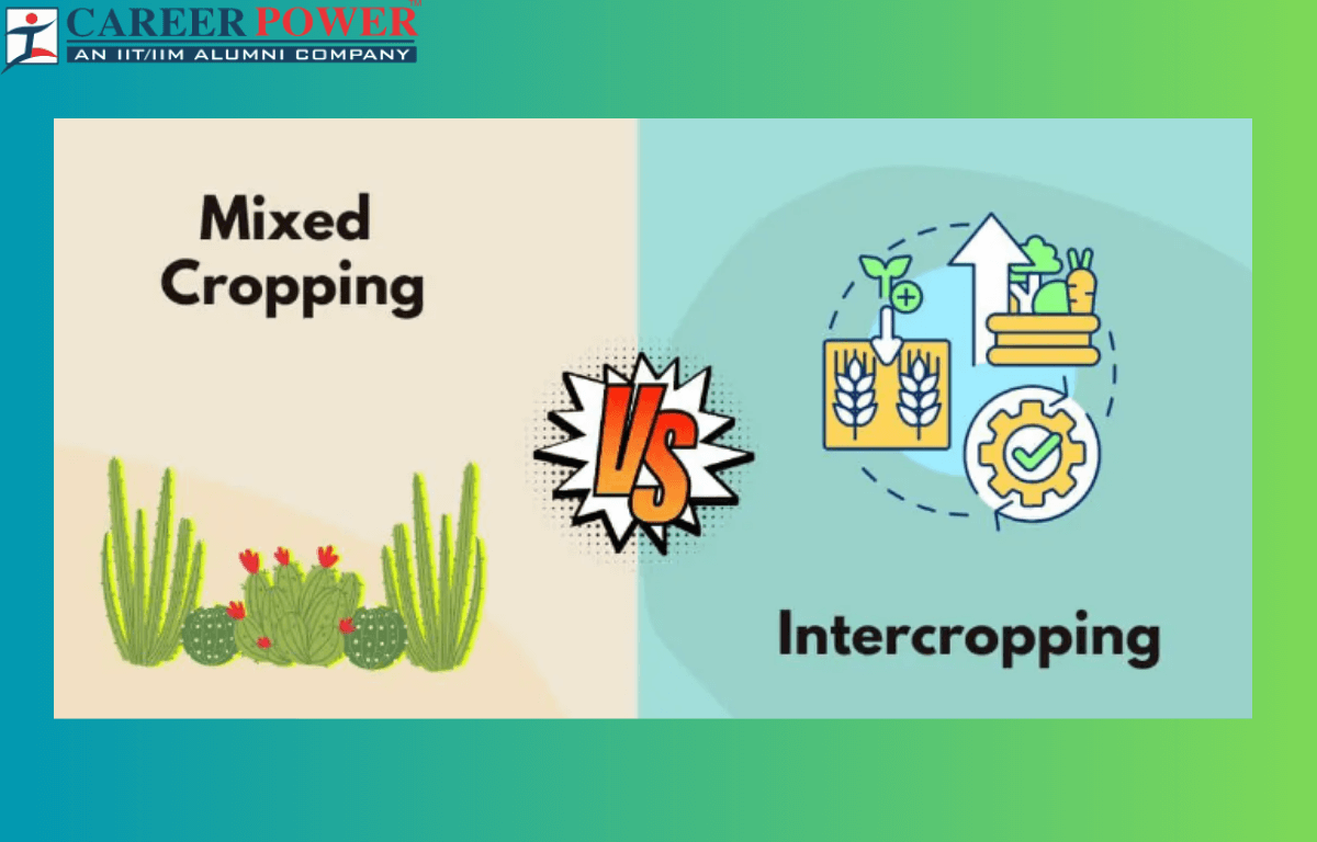 difference between mixed cropping and intercropping