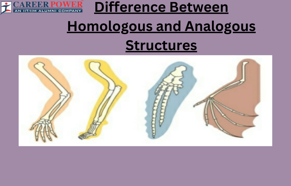 Homologous Vs Analogous Structures