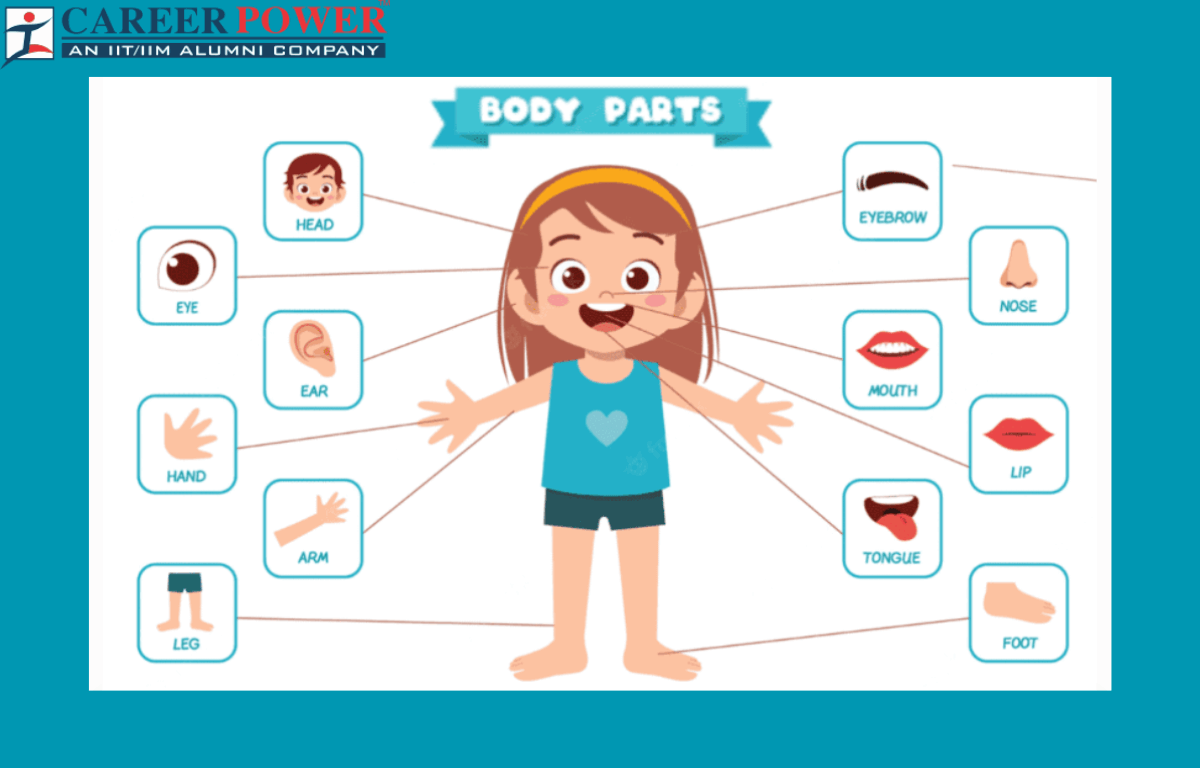 Body Parts Name, All 50 Body Parts Name in English