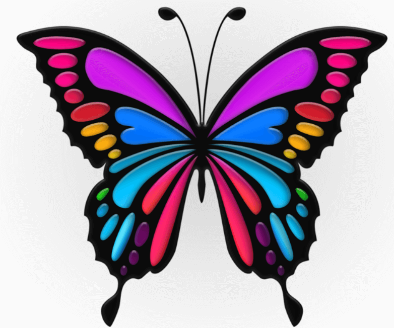 Moth and Butterfly: Identification, Differences and Similarities_4.1