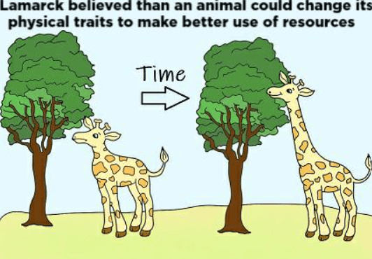 Darwinism and Lamarckism: Definition, Differences, and their Importance_4.1