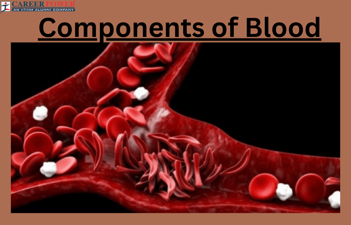 components of blood