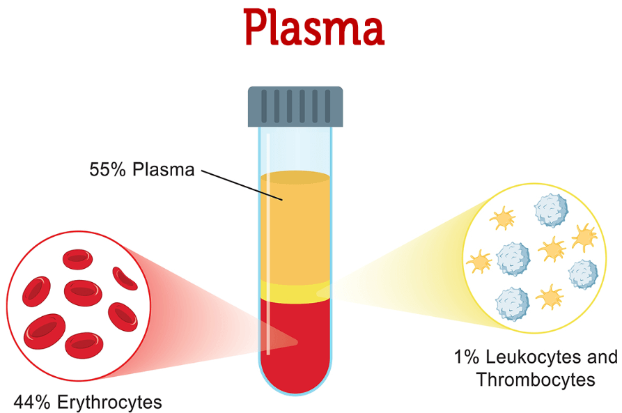 Blood - Definition, its Components, and Functions_20.1