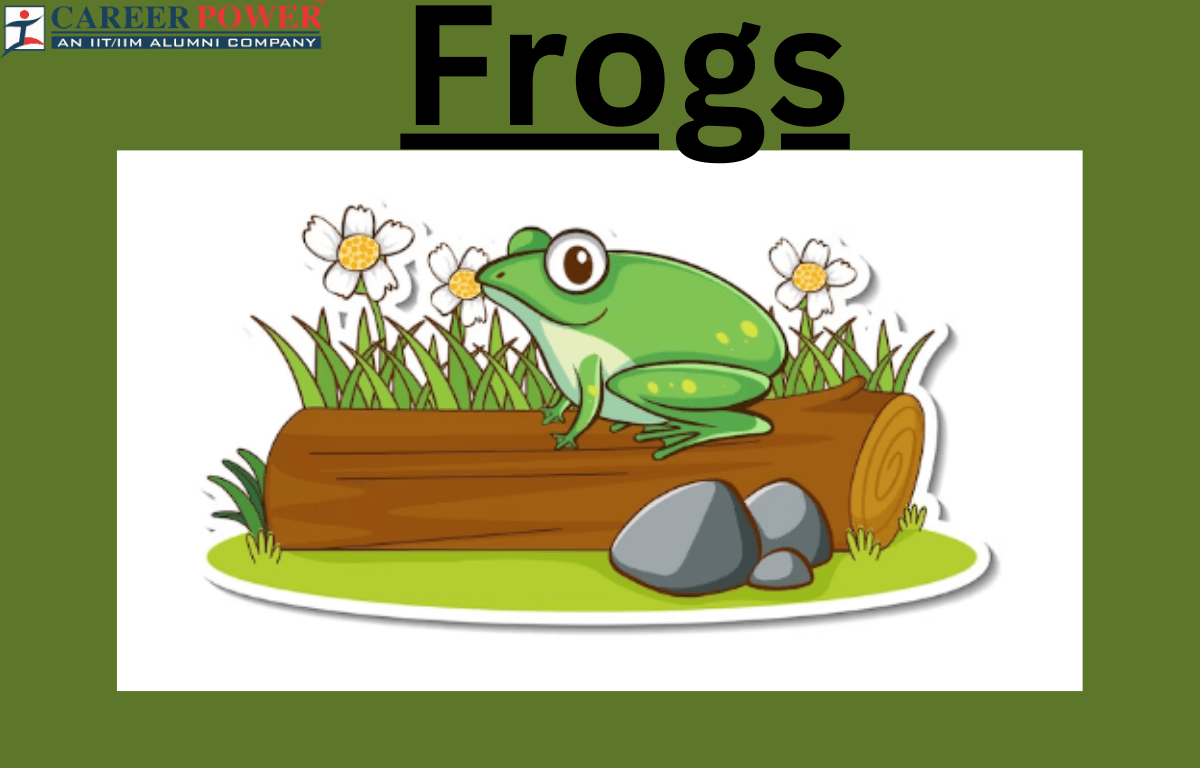 Frogs - Anatomy, Morphology, and Features (Complete Guide)