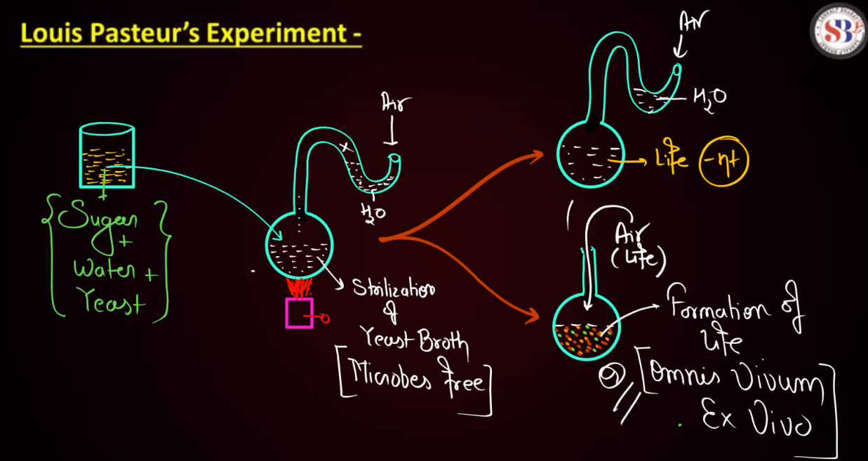 Evolution - Definition, Origin of Life and Ancient Theories_8.1