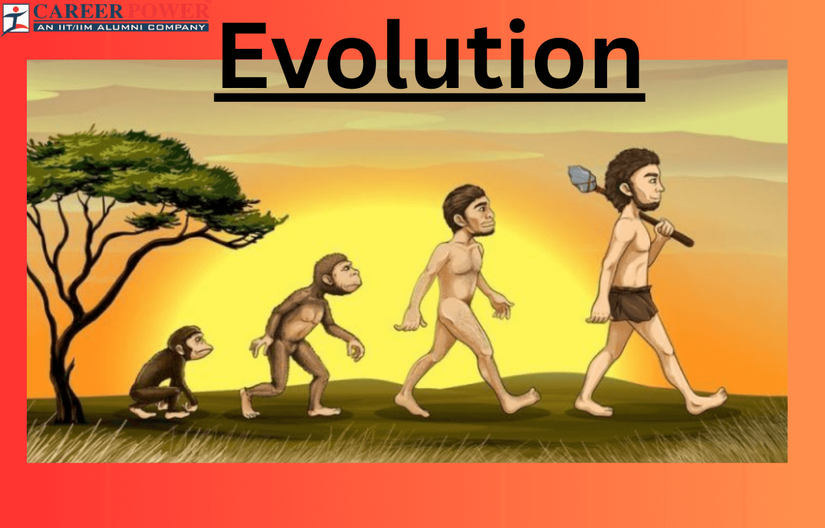 Evolution definition origin of life and ancient theories