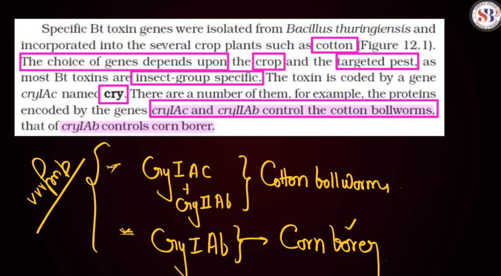 Biotechnology and Its Applications Class 12th Notes (Complete Guide)_6.1