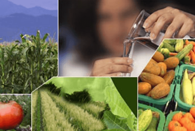 Biotechnology and Its Applications Class 12th Notes (Complete Guide)_3.1