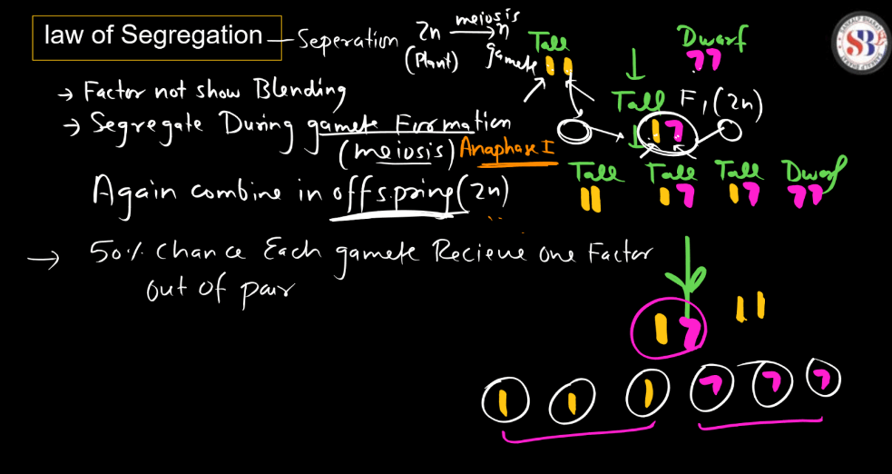 Basic Concepts and Terms of Genetics - Mendel's Experiment_6.1