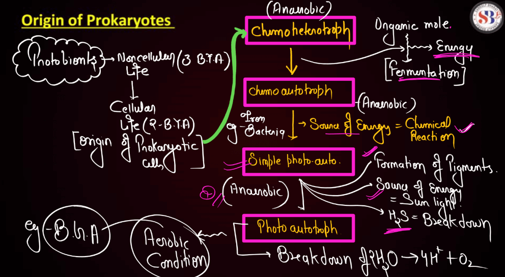 Biological Evolution: Origin of Eukaryotes and Prokaryotes_3.1