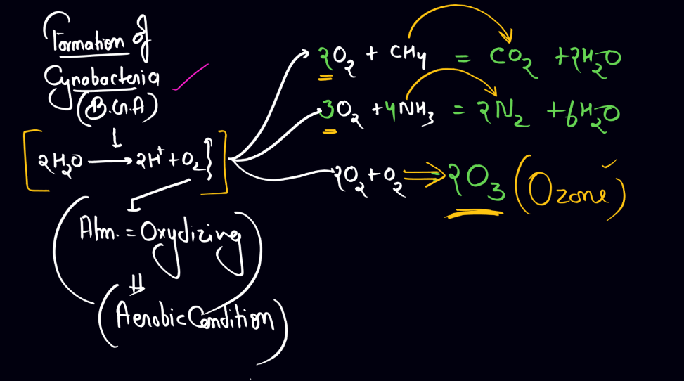Biological Evolution: Origin of Eukaryotes and Prokaryotes_4.1