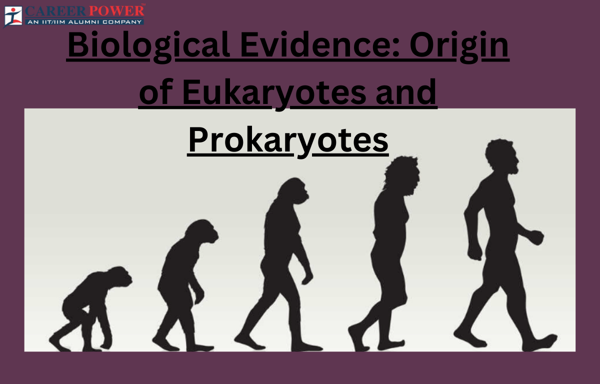 biological evidence