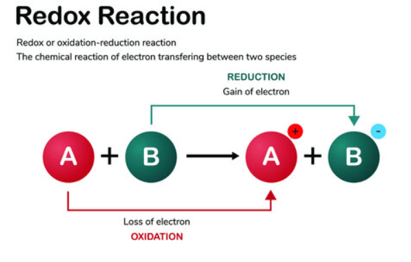 Chemical Reactions and Equations Class 10 Science Chapter 1_8.1