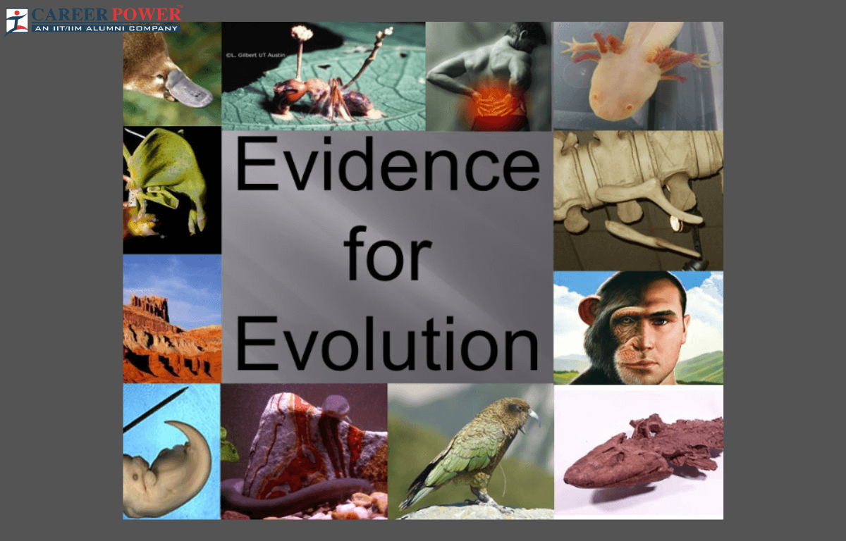 evidence for evolution