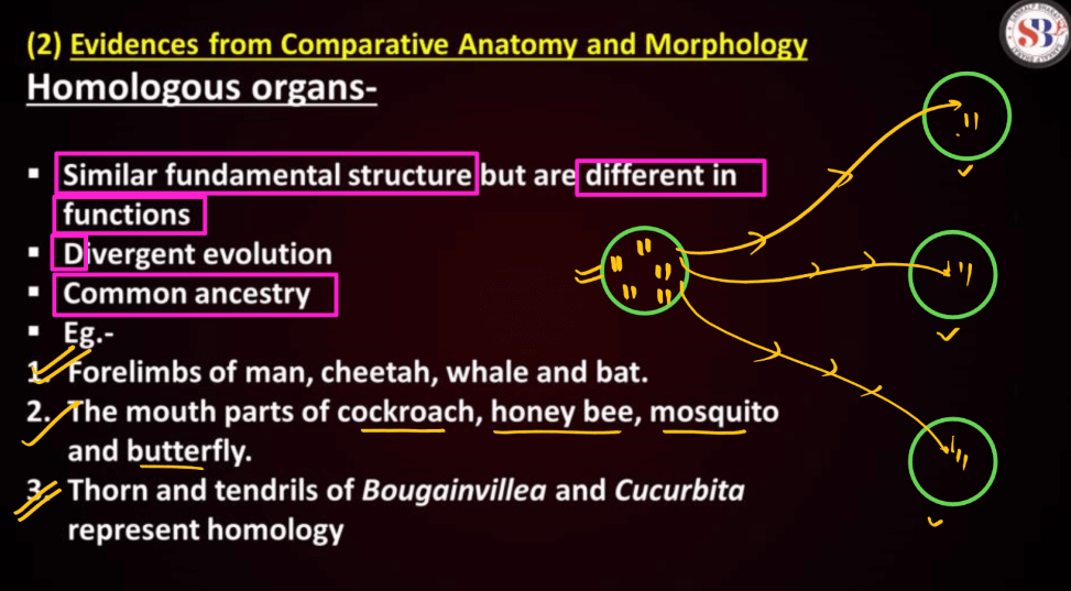 Evidence of Evolution - All Types of Evidence in Favour of Evolution_7.1