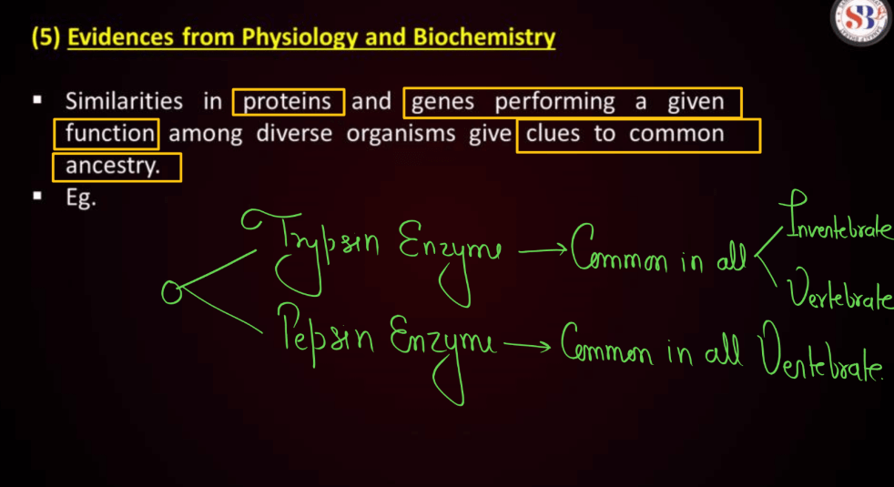 Evidence of Evolution - All Types of Evidence in Favour of Evolution_9.1
