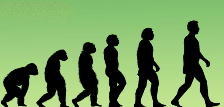 Evidence of Evolution - All Types of Evidence in Favour of Evolution_3.1