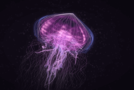 Difference Between Polyp and Medusa_4.1