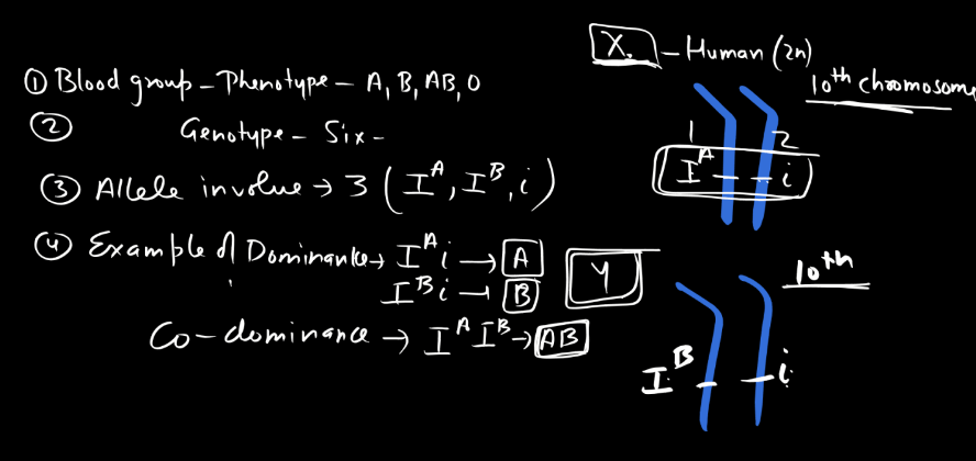 Codominance - Definition, Ratio, Blood Group Example and Facts_6.1