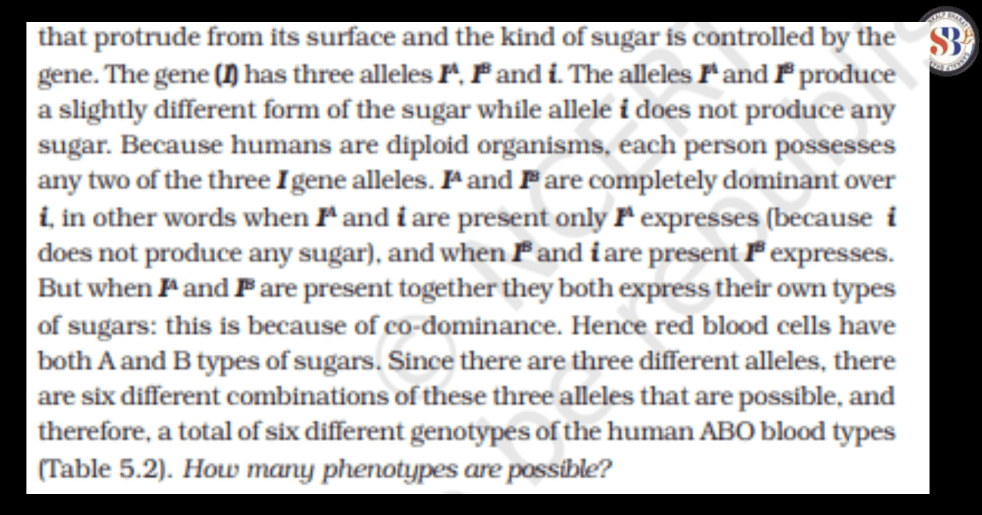 Codominance - Definition, Ratio, Blood Group Example and Facts_8.1