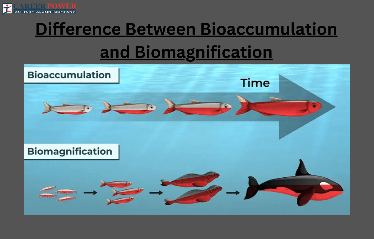 Bioaccumulation and biomagnification