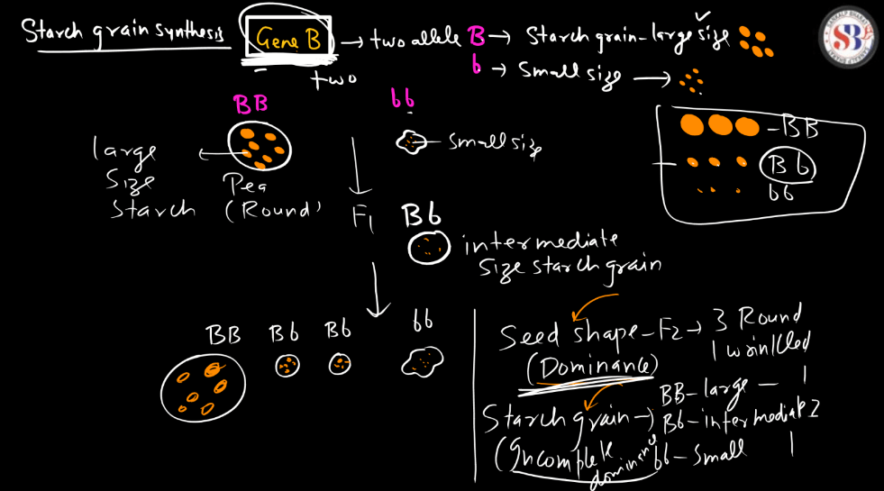 Pleiotropy - Definition, Examples in Humans, Animals_5.1
