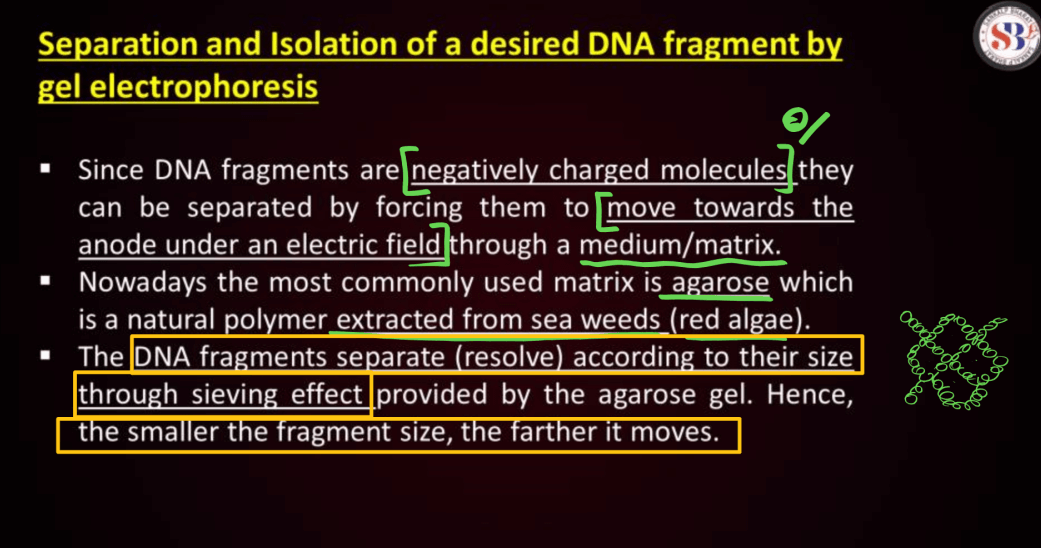 Biotechnology Principles and Processes Class 12 Notes_37.1