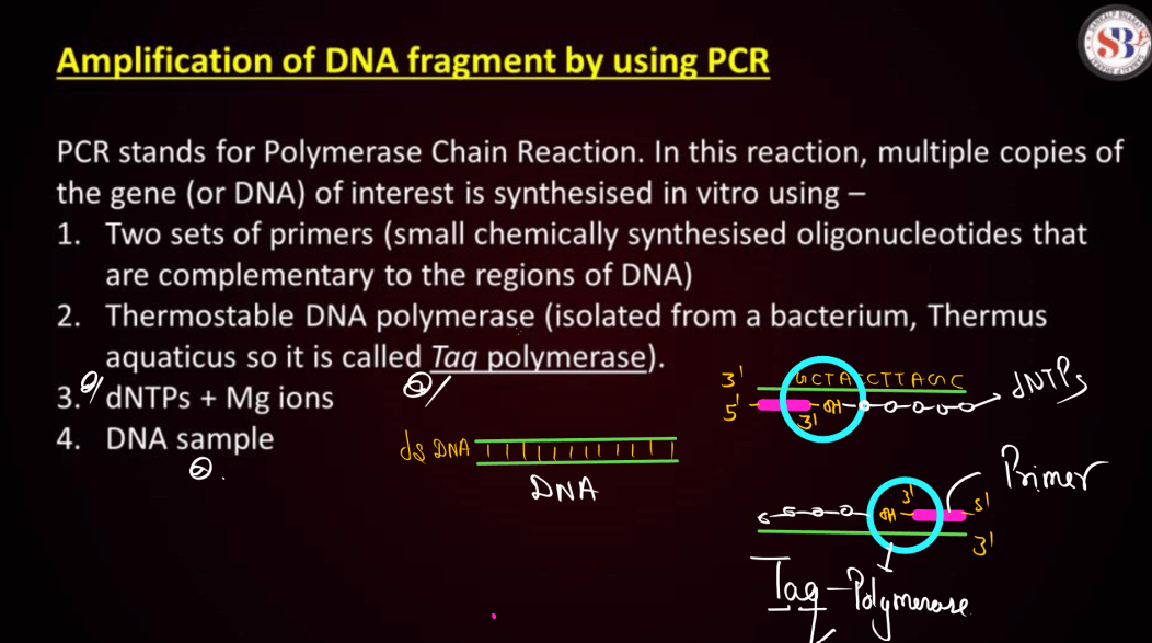Biotechnology Principles and Processes Class 12 Notes_41.1