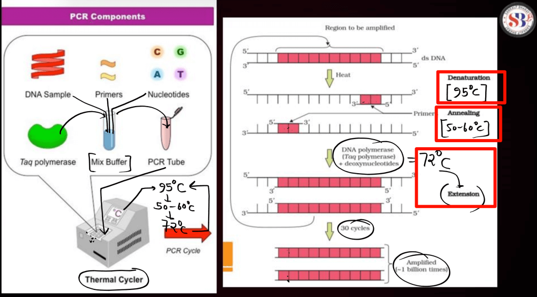 Biotechnology Principles and Processes Class 12 Notes_42.1