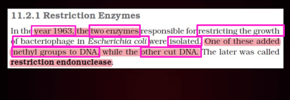 Biotechnology Principles and Processes Class 12 Notes_13.1