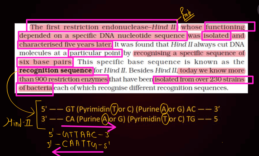 Biotechnology Principles and Processes Class 12 Notes_15.1