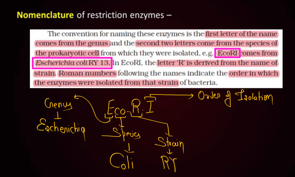 Biotechnology Principles and Processes Class 12 Notes_16.1