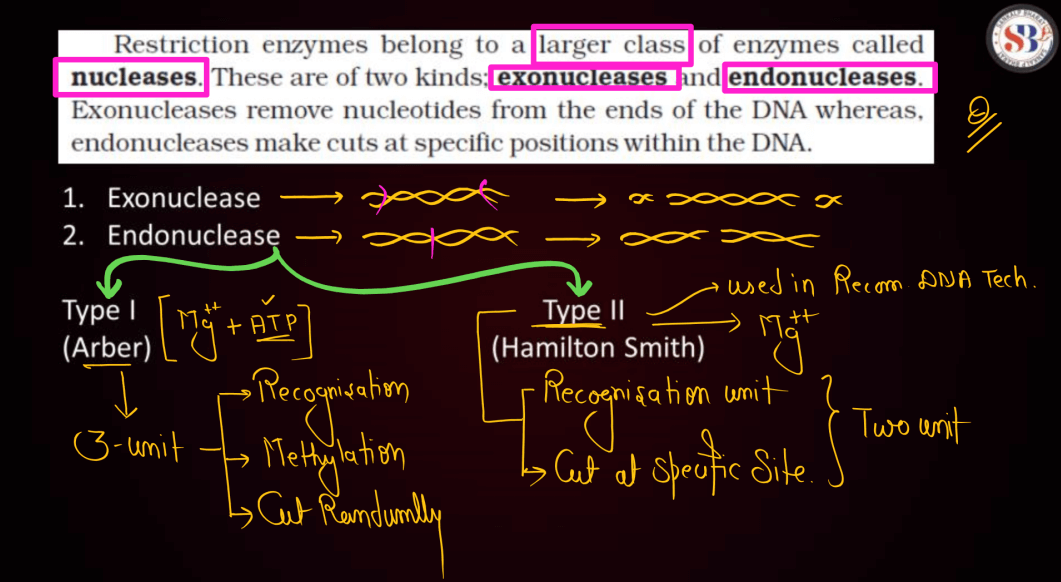 Biotechnology Principles and Processes Class 12 Notes_17.1