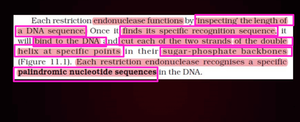 Biotechnology Principles and Processes Class 12 Notes_18.1