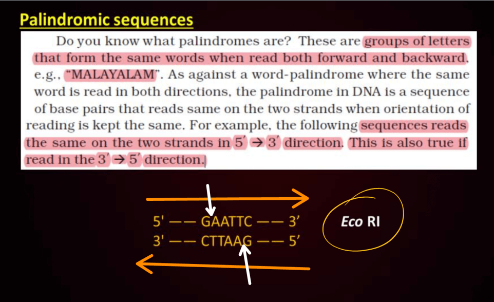 Biotechnology Principles and Processes Class 12 Notes_20.1