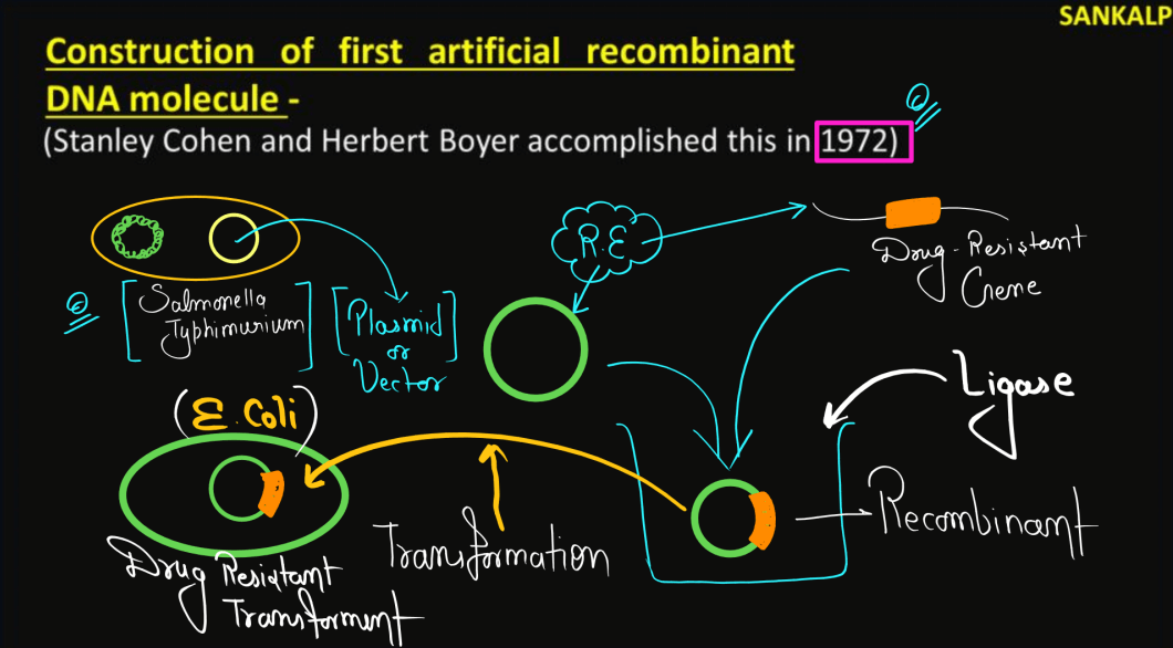 Biotechnology Principles and Processes Class 12 Notes_9.1