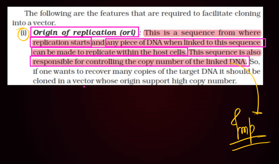 Biotechnology Principles and Processes Class 12 Notes_24.1