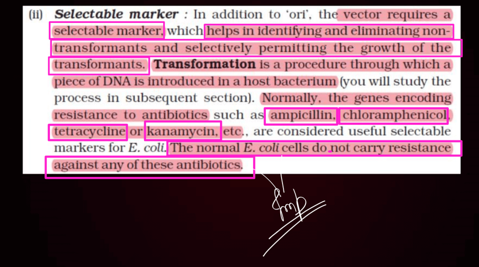 Biotechnology Principles and Processes Class 12 Notes_25.1