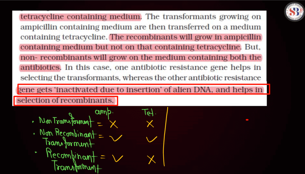 Biotechnology Principles and Processes Class 12 Notes_28.1