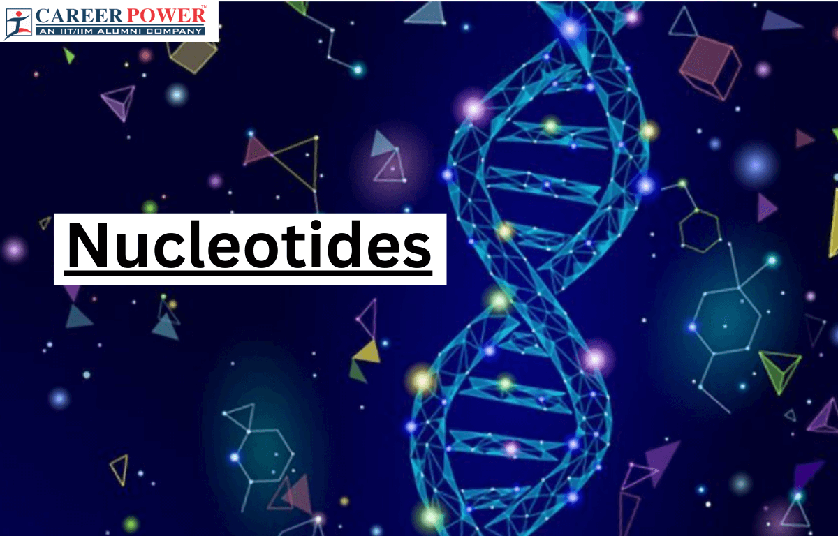 nucleotides