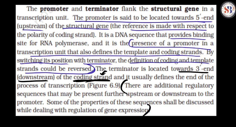 Transcription - Process, Unit, RNA Polymerase, Types of RNA_14.1