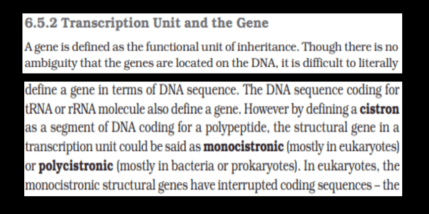 Transcription - Process, Unit, RNA Polymerase, Types of RNA_18.1